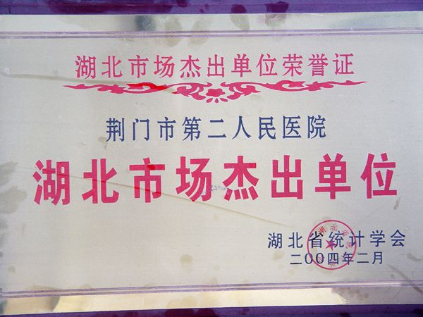 湖北杰出单位