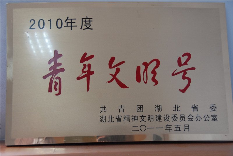 共青团湖北省委青年文明号