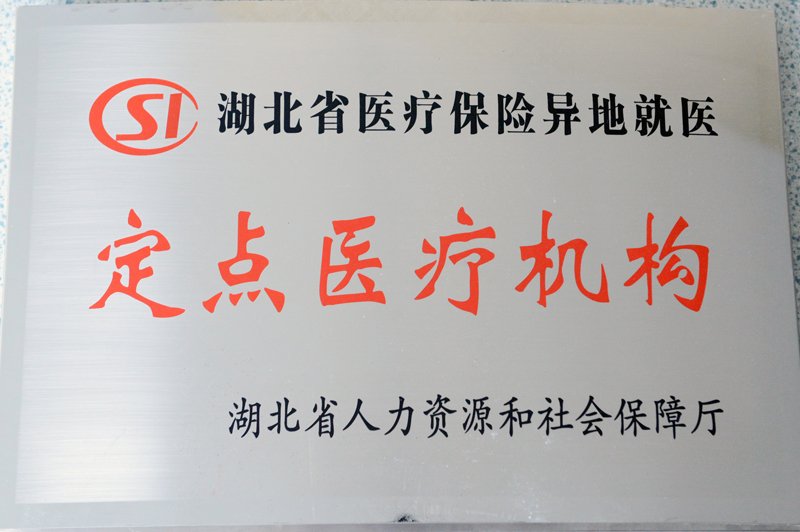 湖北省医疗保险异地就医定点医疗机构