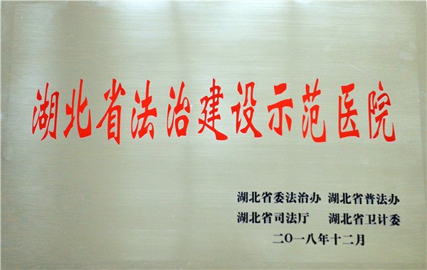 湖北省法治建设示范医院