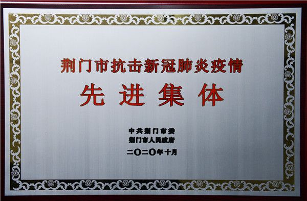 市抗疫先进集体