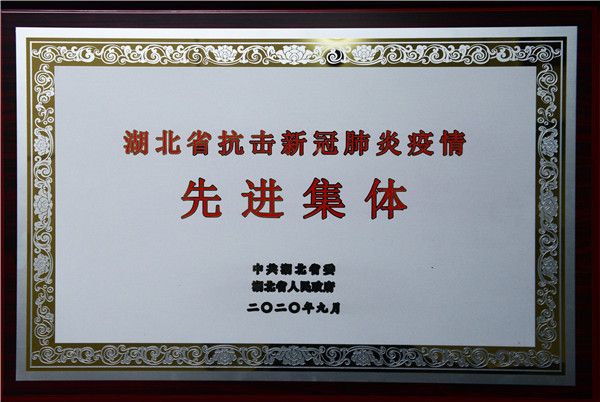 省抗疫先进集体