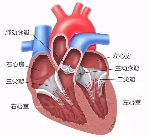 图片3.png 图片3.png