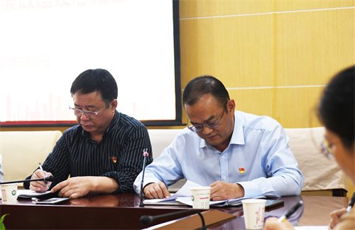 医院总会计师杨永新同志汇报2023年上半年党建和党风廉政建设工作开展情况,安排部署下阶段相关工作.JPG
