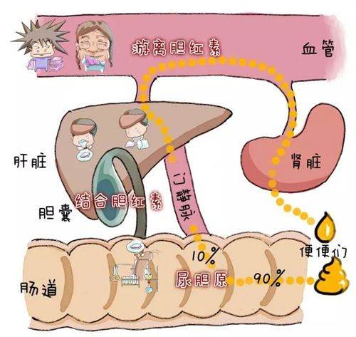 图片6.png 图片6.png