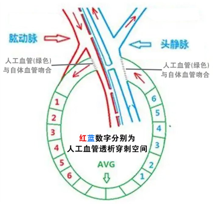 图片7.png 图片7.png
