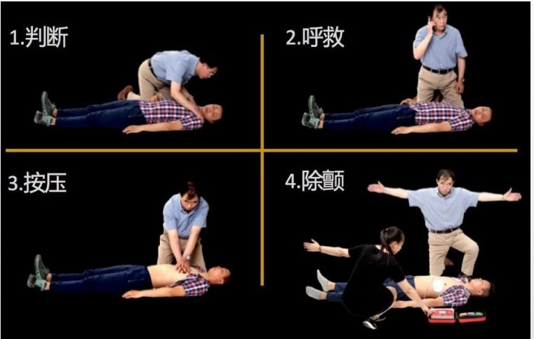 图片10.png 图片10.png