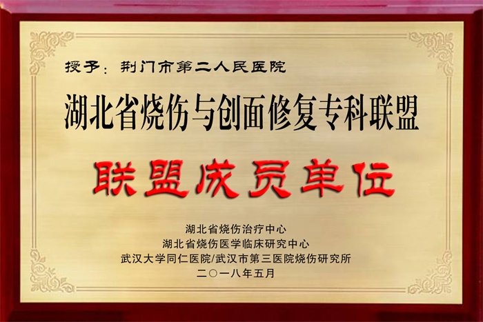 整形手外牌匾1.jpg 整形手外牌匾1.jpg