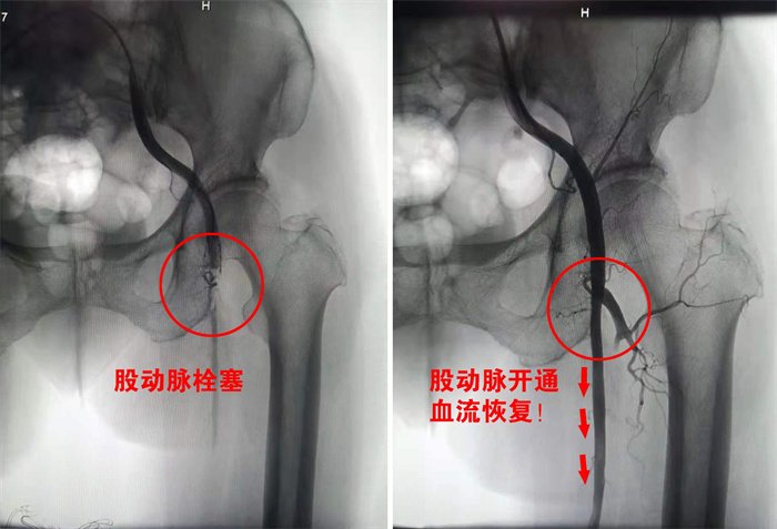 图片2.jpg 图片2.jpg