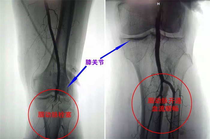 图片3.jpg 图片3.jpg