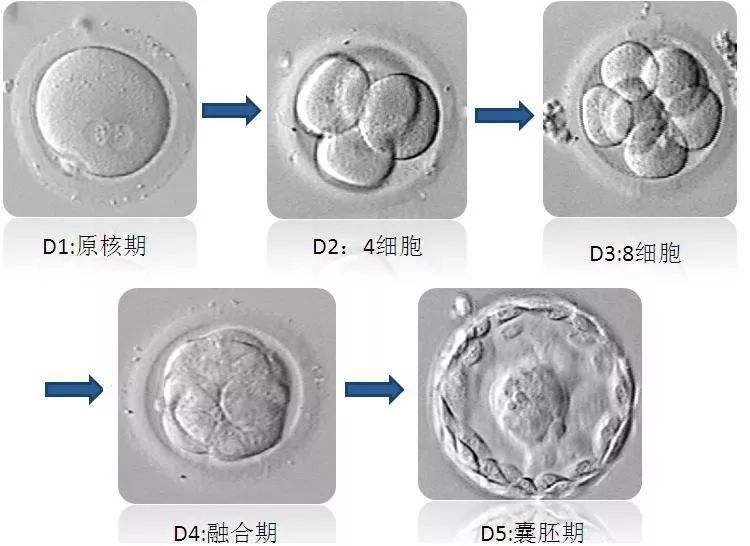 图片14.png 图片14.png