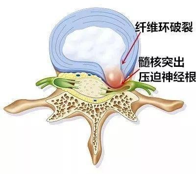 图片9.jpg 图片9.jpg