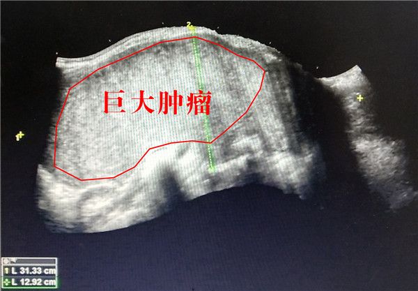 图片2.jpg 图片2.jpg