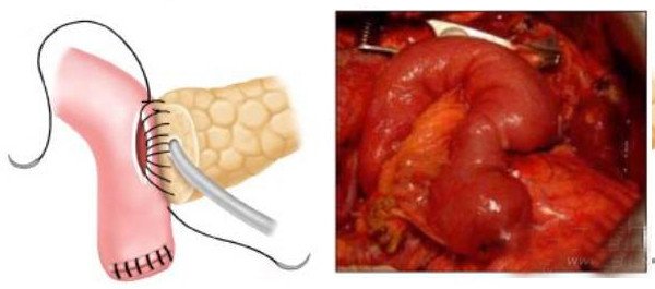 2.jpg 2.jpg