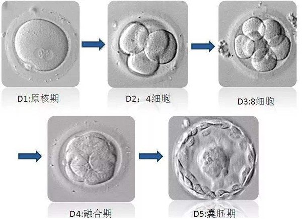 图片4.jpg 图片4.jpg