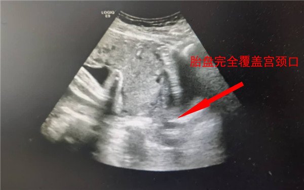 图片1.jpg 图片1.jpg