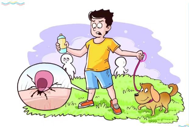 发热伴血小板减少综合征科普