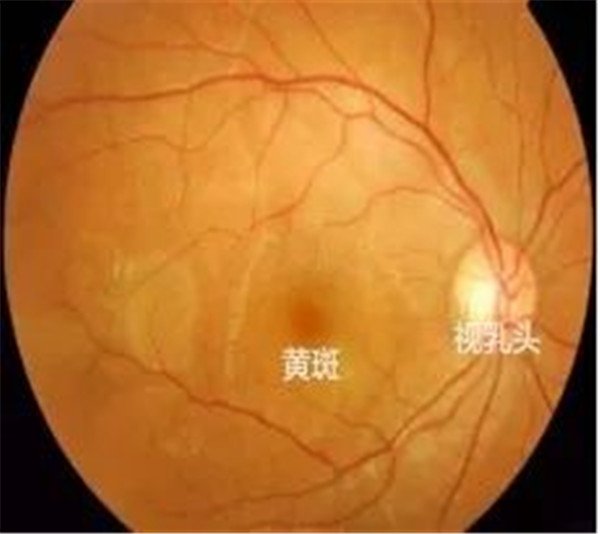 图片2.jpg 图片2.jpg