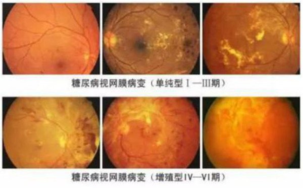 图片6.jpg 图片6.jpg
