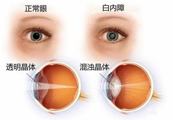 图片8.jpg 图片8.jpg