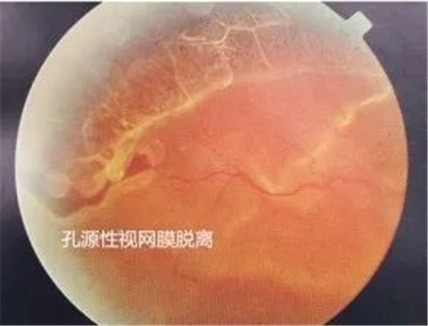 图片7.jpg 图片7.jpg
