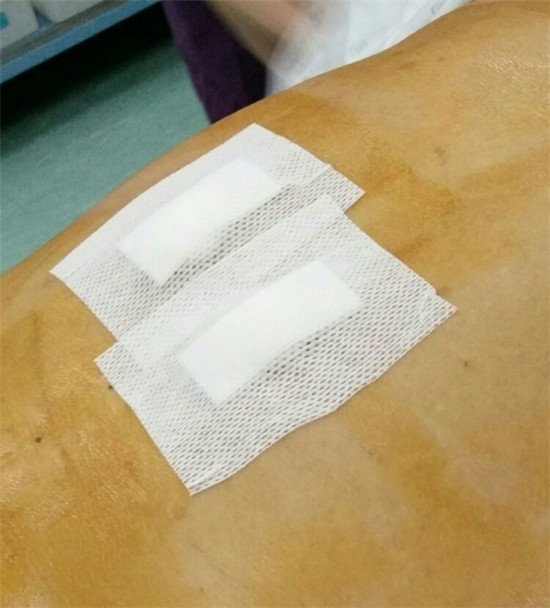 图片8.jpg 图片8.jpg