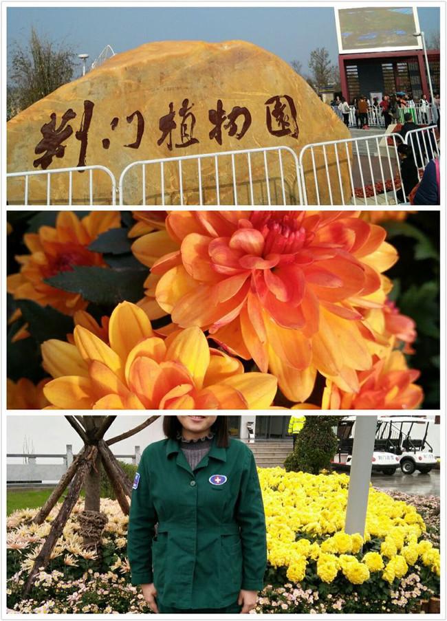 图片15.jpg 图片15.jpg