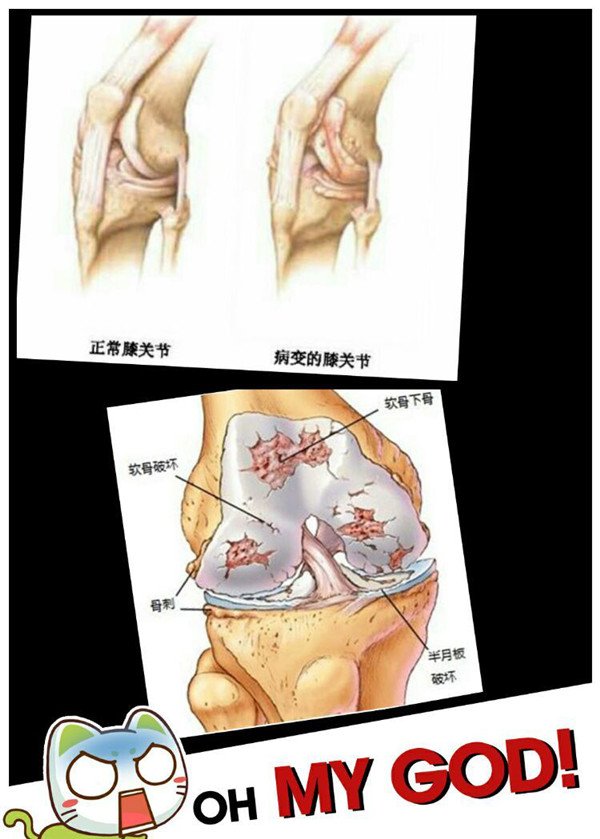 图片5.jpg 图片5.jpg
