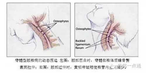 图片3.jpg 图片3.jpg