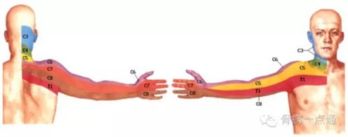 图片4.jpg 图片4.jpg