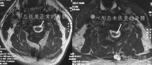 图片5.jpg 图片5.jpg