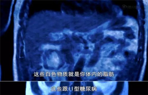 图片15.jpg 图片15.jpg