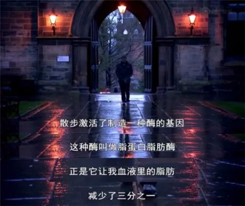 图片21.jpg 图片21.jpg