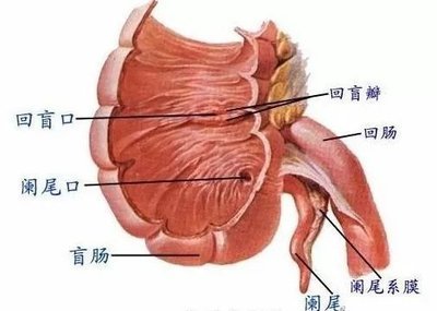 图片 7.png