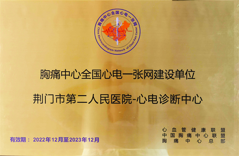 胸痛中心全国心电一张网建设单位