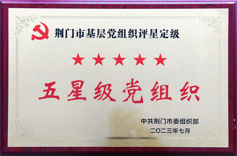 五星级党组织