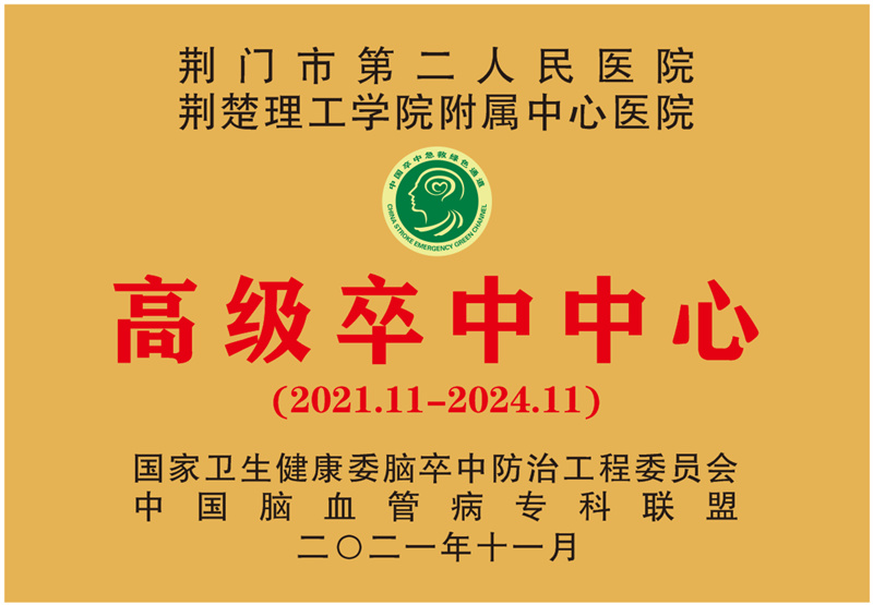 高级卒中中心