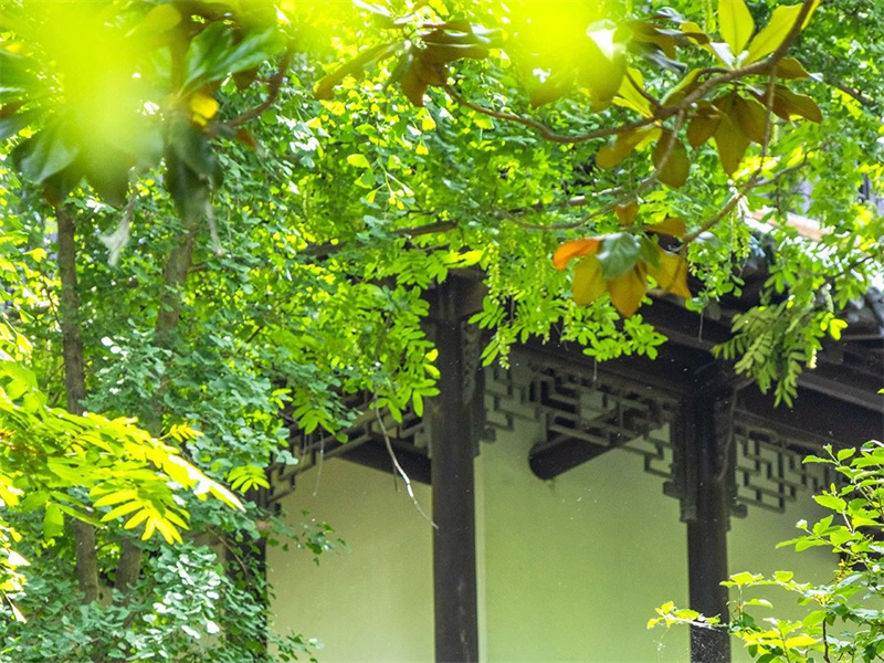 高温中暑:科学预防、快速识别、紧急急救指南