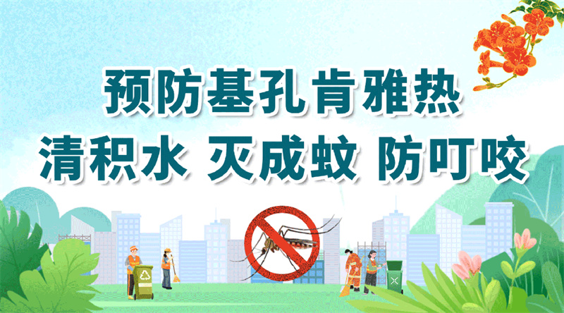 速看!8张图告诉你,不同场景怎么预防基孔肯雅热!