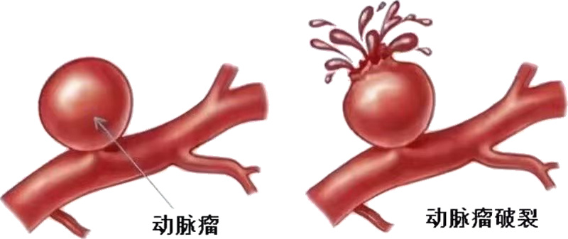 微信图片_2026-03-19_103943_875.jpg