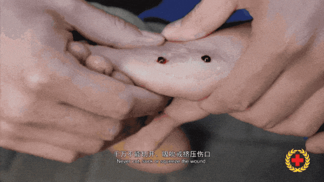 640 (1).gif