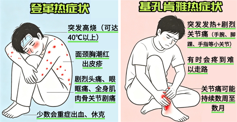 微信图片_2026-04-30_164407_823.jpg